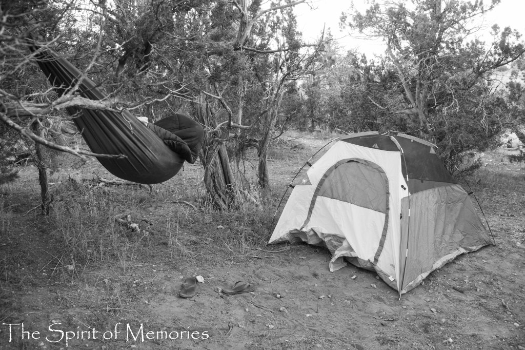 Life Between Walls &&nbsp;Woods