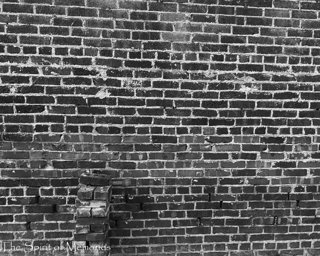 When the Plague&nbsp;Falls