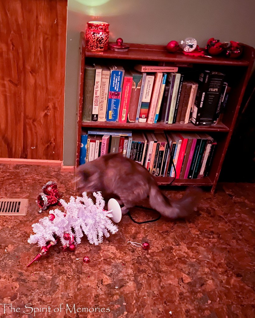 The first time she knocked down the tree.