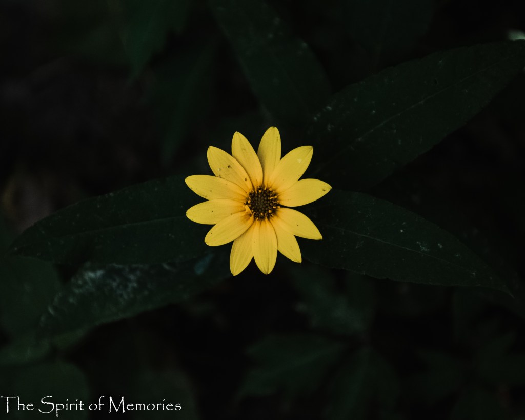 The Breath of&nbsp;God