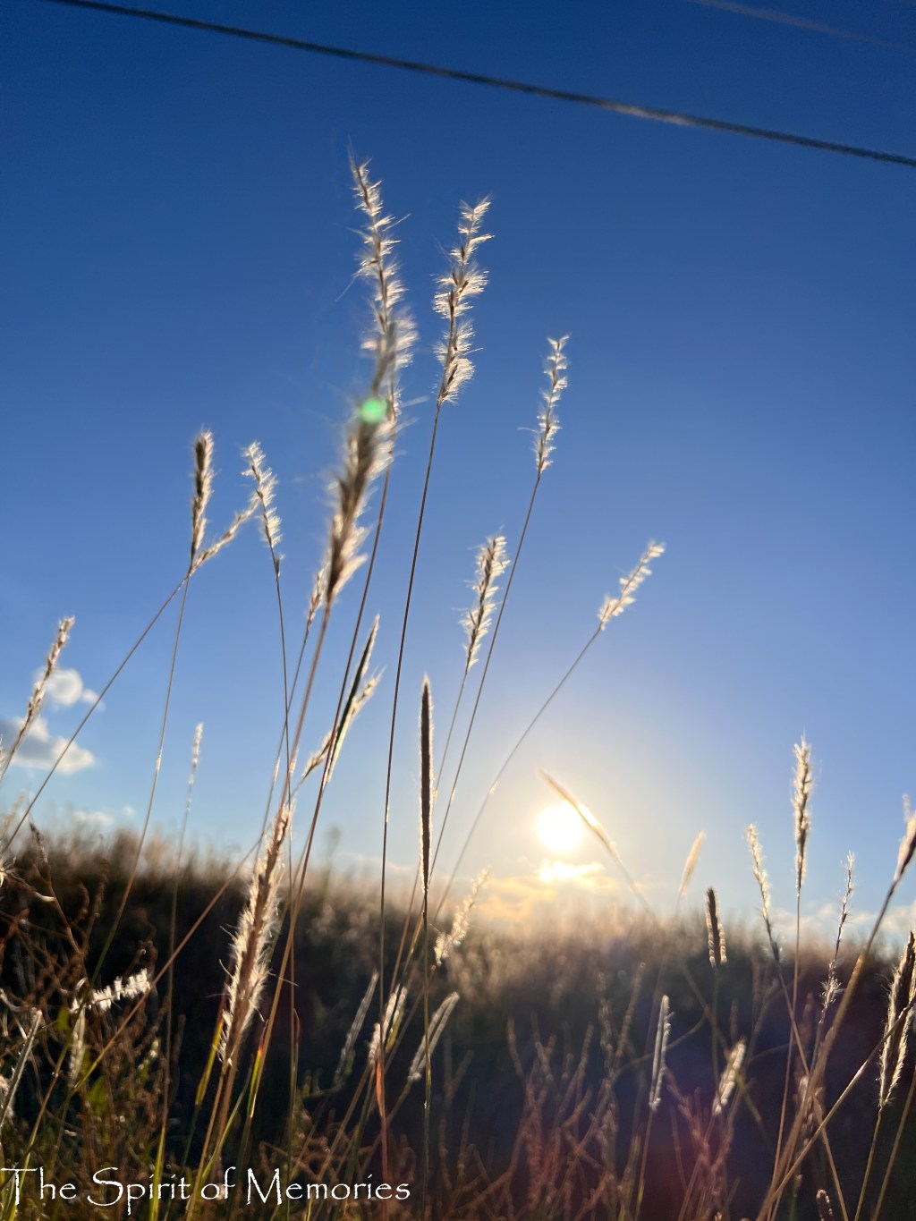 The Eyes Of The LORD Are In Every&nbsp;Place