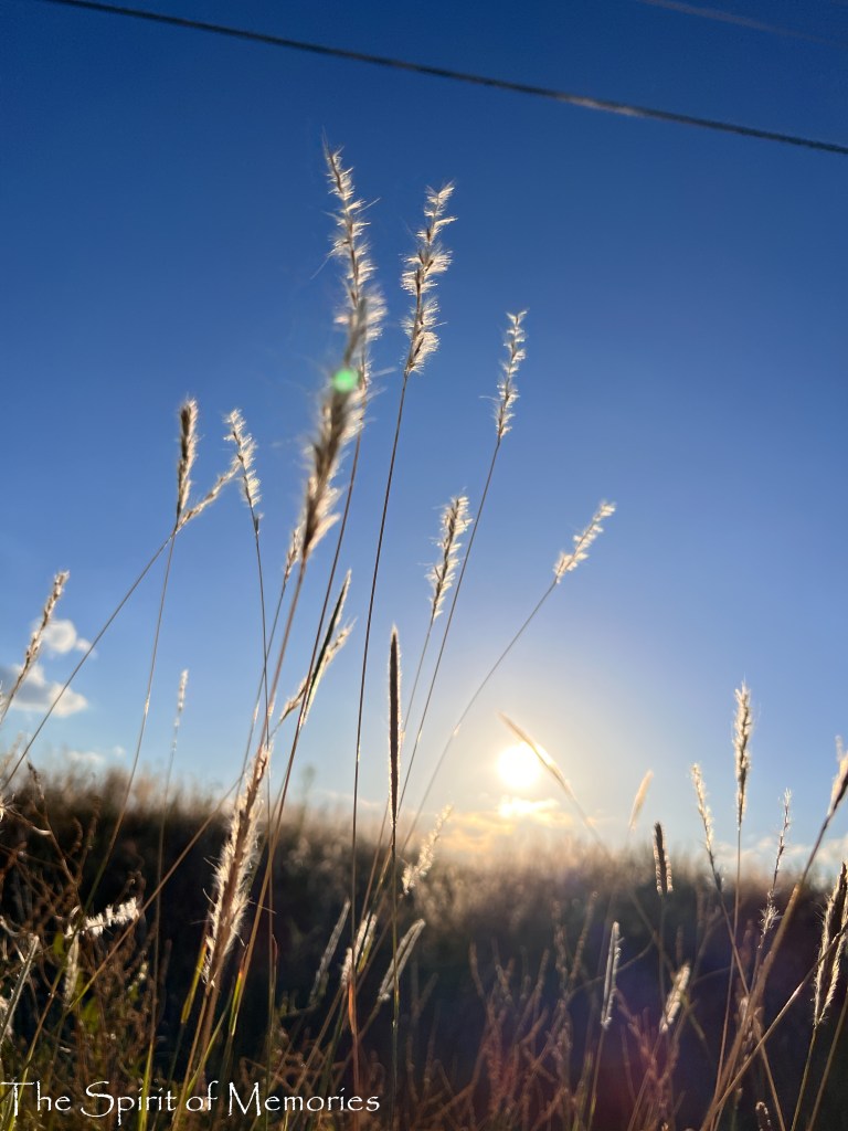 The Eyes Of The LORD Are In Every&nbsp;Place