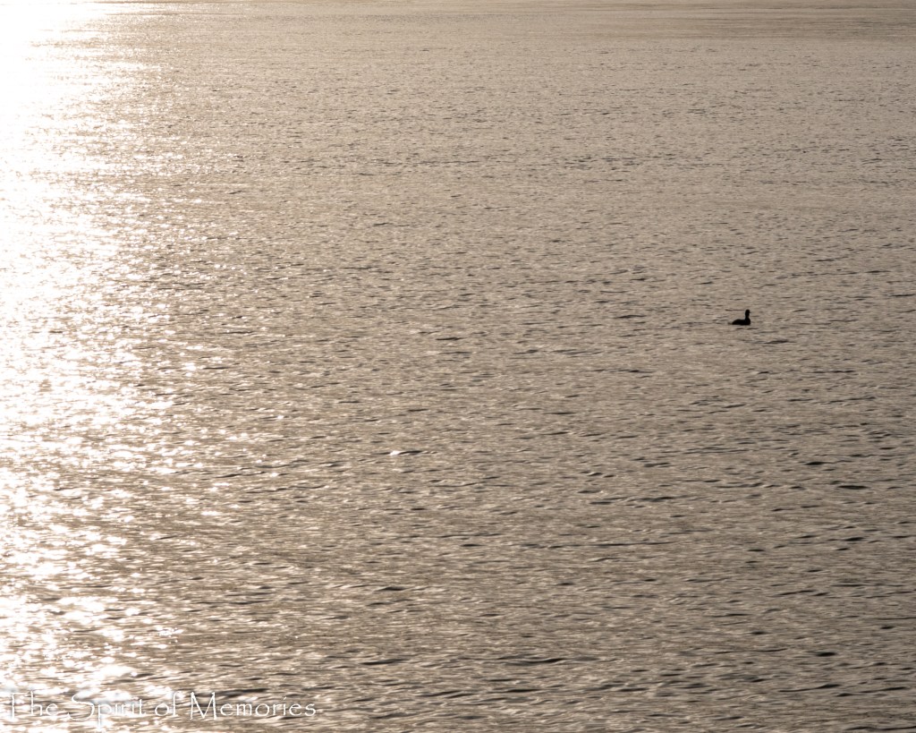 Living Your Eulogy: The Importance of Relationships